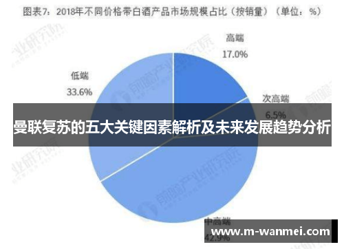 曼联复苏的五大关键因素解析及未来发展趋势分析