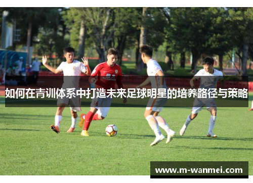 如何在青训体系中打造未来足球明星的培养路径与策略