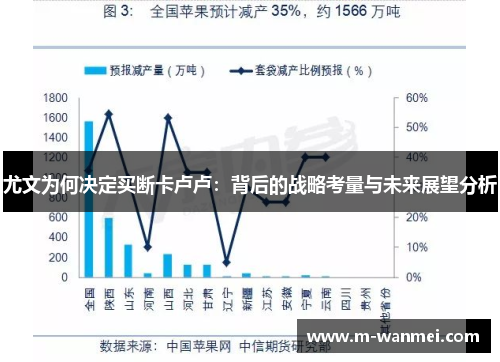 尤文为何决定买断卡卢卢:背后的战略考量与未来展望分析